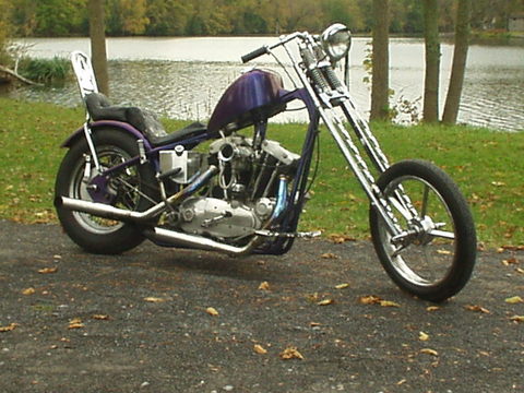 d216.jpg